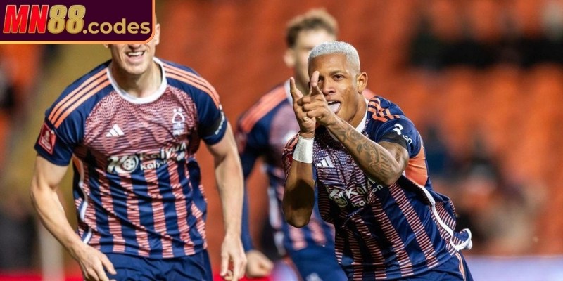 Sơ lược về kèo chấp trực tiếp MN88 